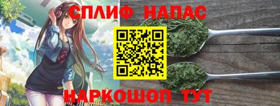 гидропоника Будённовск