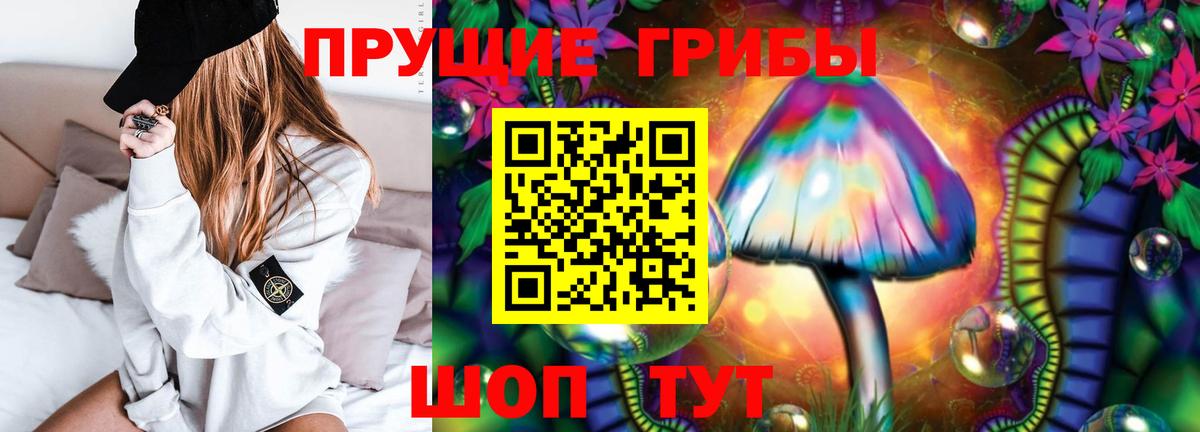Галлюциногенные грибы Psilocybine cubensis Щёлково